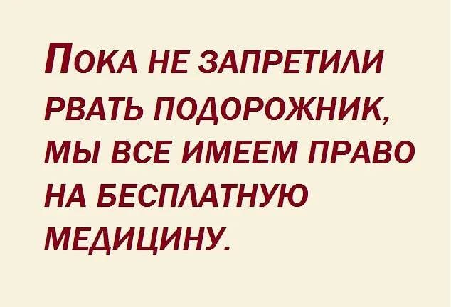 Пандемия съехавших крыш - разновидности болезни. Россия и мир. Часть 39.