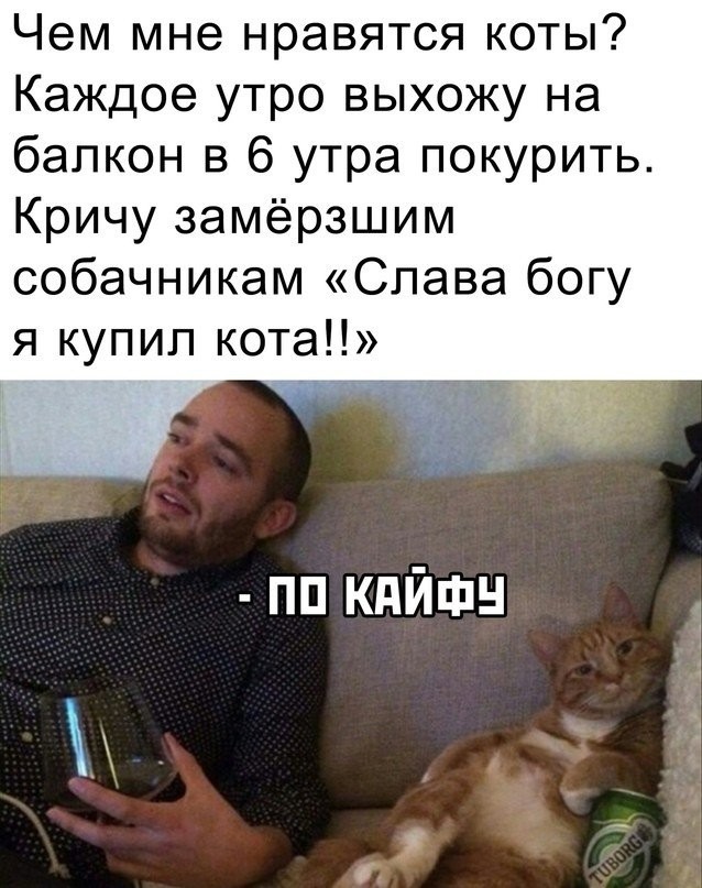 Скриншоты и комментарии из социальных сетей 1.10.22