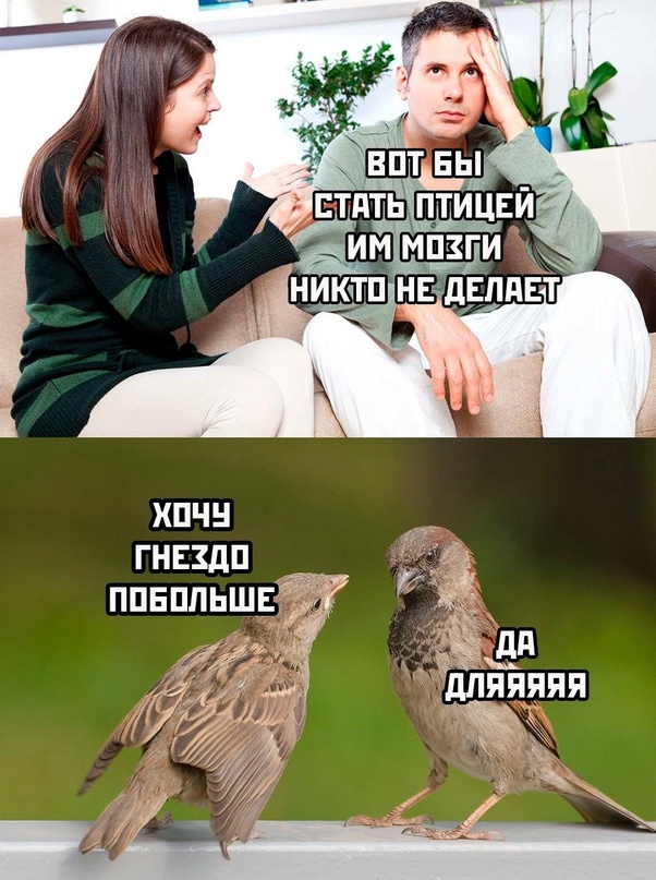 Картинки и мемы, всем хороших выходных