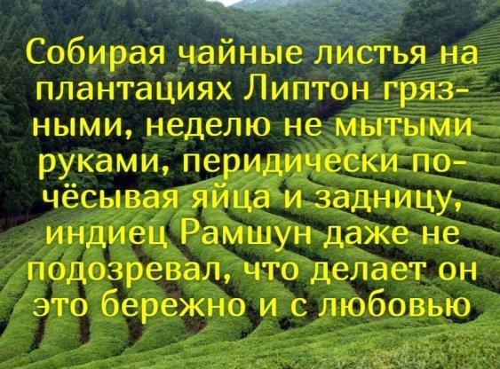 Картинки и мемы, всем хороших выходных