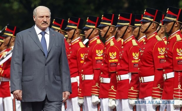 Борьба с коррупцией у Батьки