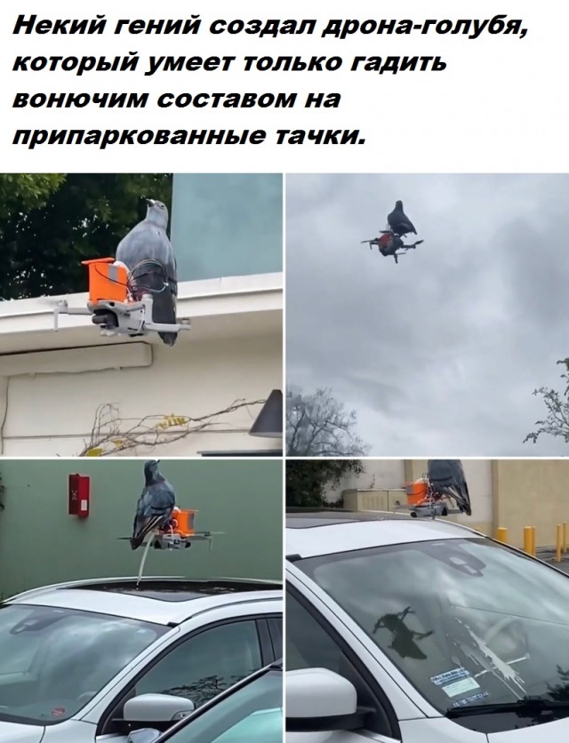 Ты кто по жизни, терпила?! Х@й сосёшь?