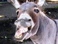 Шины азотом накачать?