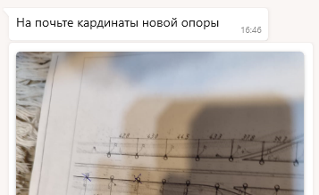Подрастающее поколение