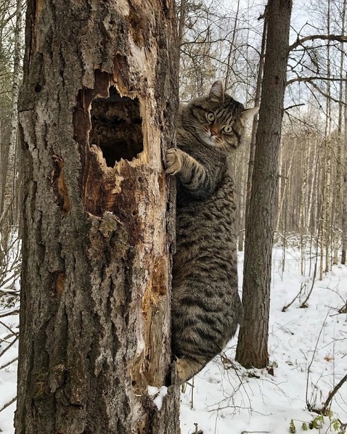 Но есть и хорошие новости...