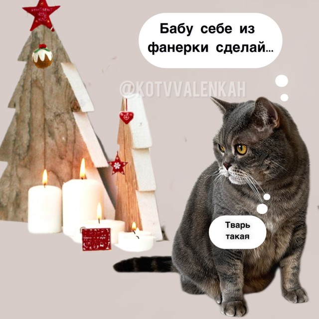 Веселые картинки в пятницу (10.01)
