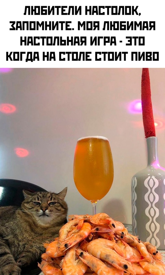 Весёлый полтишок 16.02.25