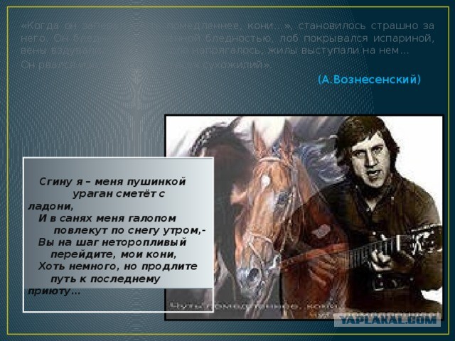 Вселенной до нас нет никакого дела