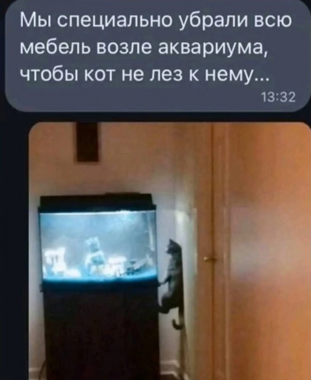Завалялось тут случайно немного забавных картинок
