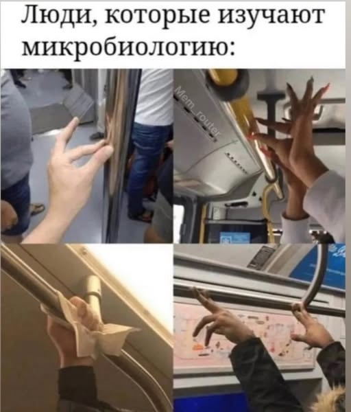 Хорошо, когда отдохнул на природе
