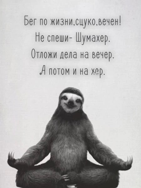 Прикольные и просто красивые картинки 01.08.2025