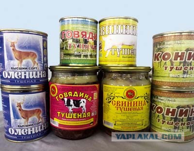 Напарник
