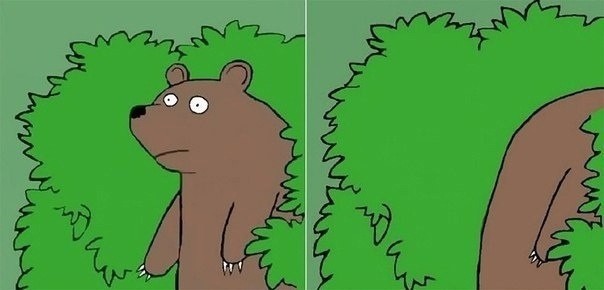 Дорогая Патамушта.