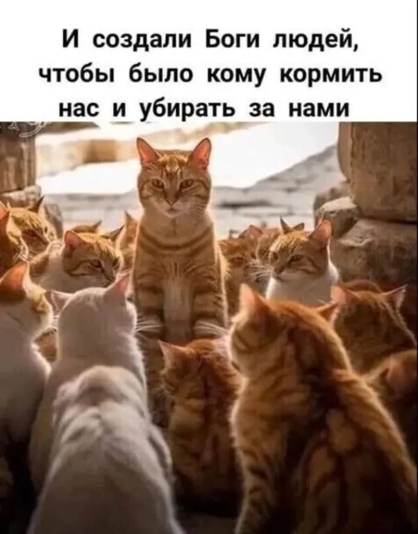 Прикольные и просто красивые картинки 18.11.2025