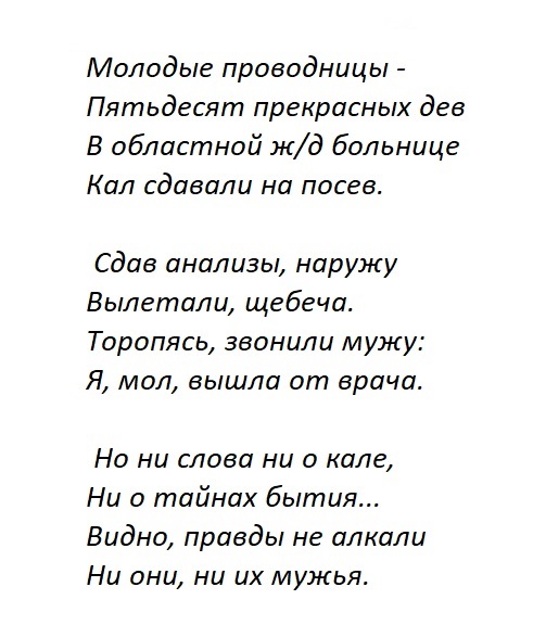 Мой кот