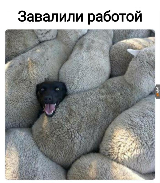 Картинки на 12.02.2026