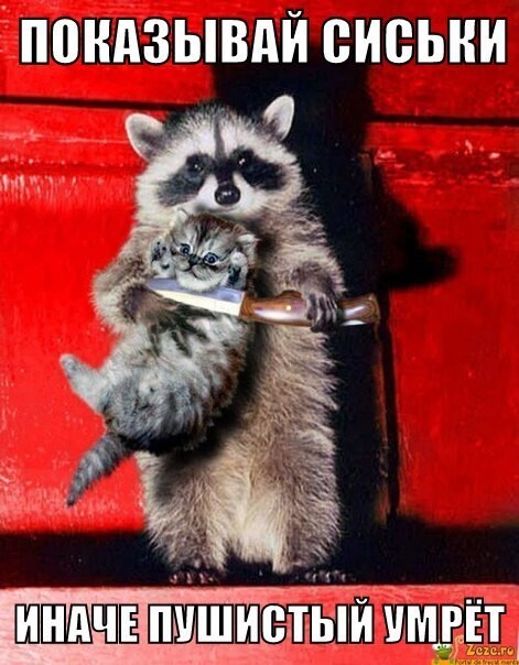 С Праздником, дорогие наши Мужчины!