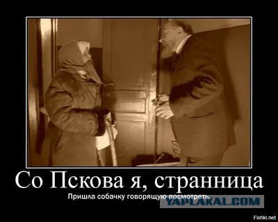 Пёс научился говорить слово «нормально»