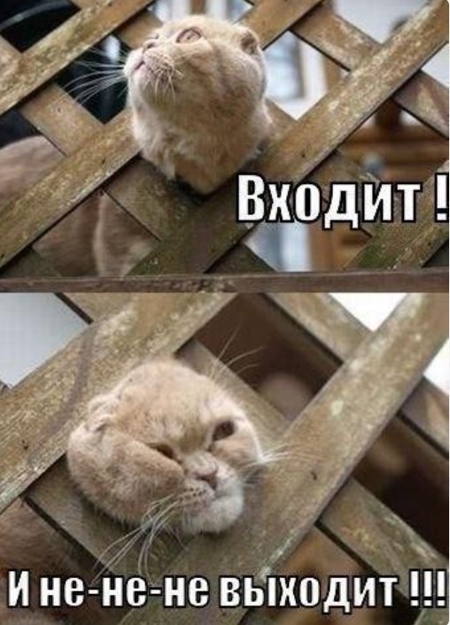Картинки для деградации 222 (разной степени свежести)