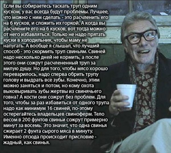 Школьница из Балашихи заказала мать за 350 тысяч и уехала к морю