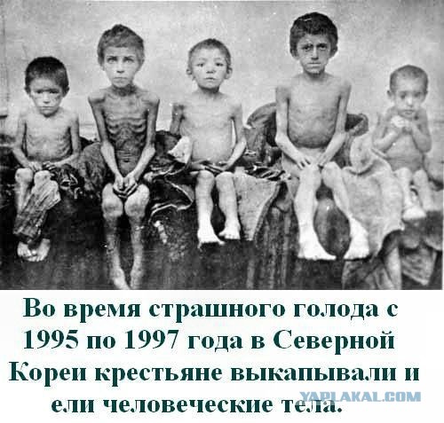Северокорейский "голодомор "