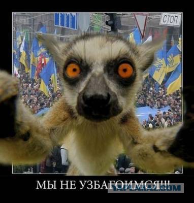 Беспорядки в Гамбурге