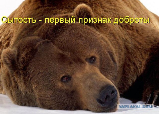 Платить и каяться