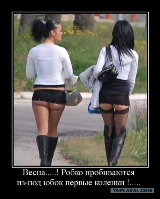Демотиваторы.