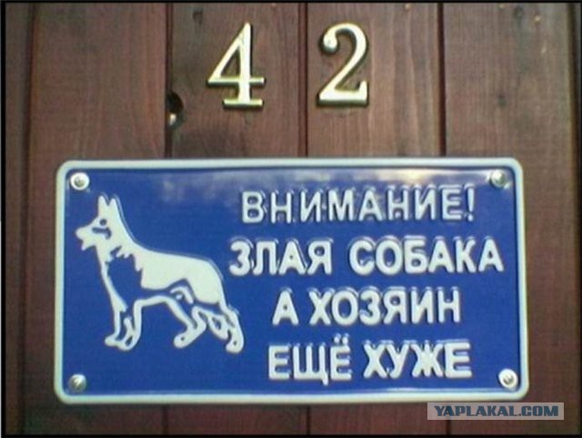 Подборка позитивных картинок на выходные