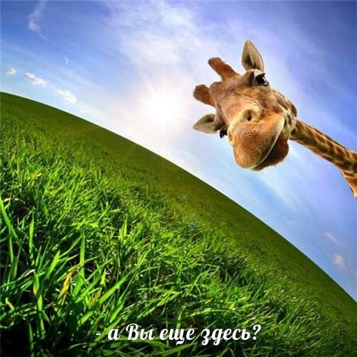 Плюсомет со шпалометом