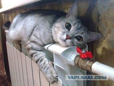 Прикольная пятницо