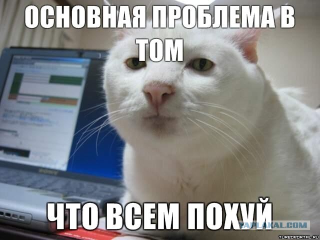 Подборка бывших