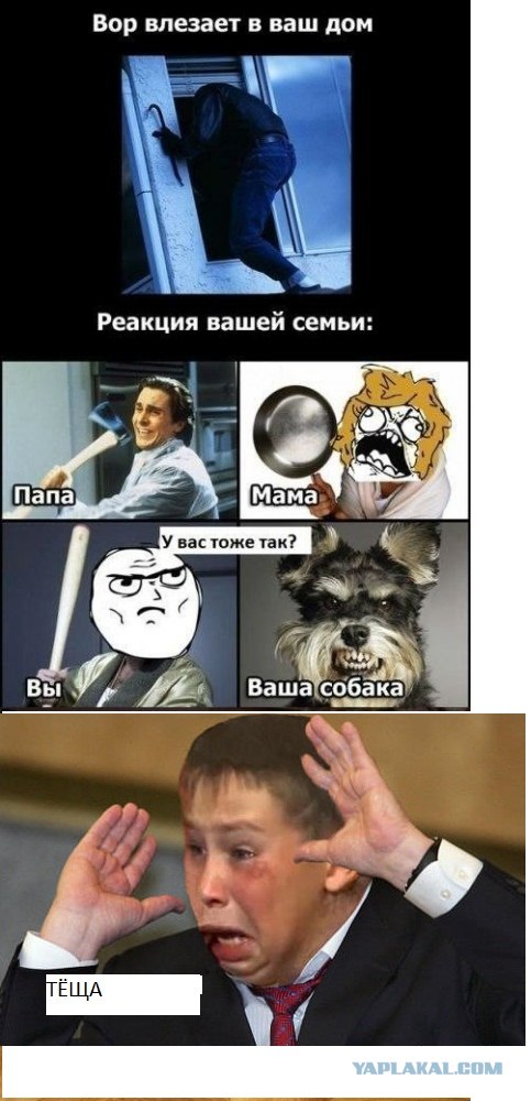 Что делают члены семьи если квартиру грабят