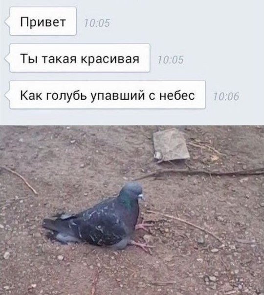 Подкаты в сети - 4