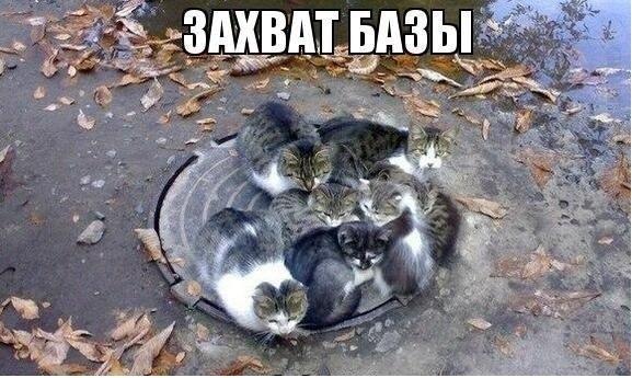 Чуть-чуть танков WoT
