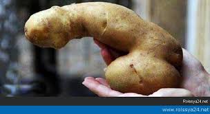 Гугли правильно