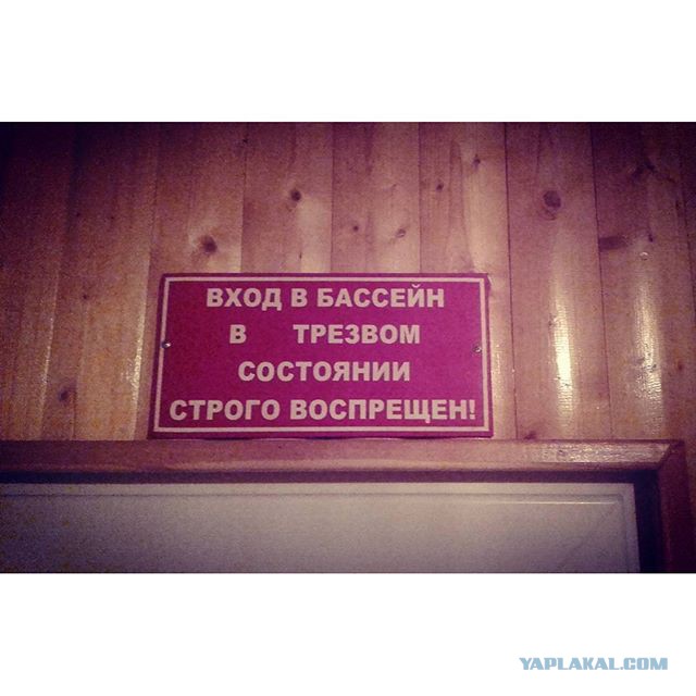 Картинки,ужасы,приколы из интернета,и соц.сетей