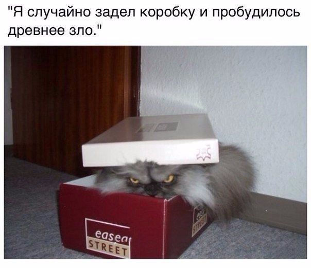 Картинки и демотиваторы