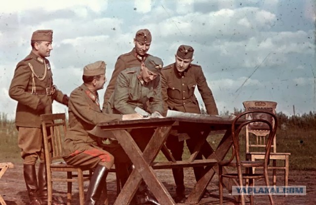 Украина 1942 год