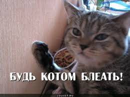 Секс-джихад в Европе на День Святого Валентина