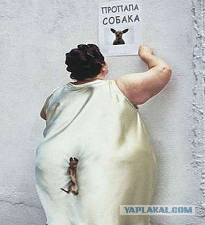 Охрана Флойда Мейвезера или "угадай, кто тут боец"