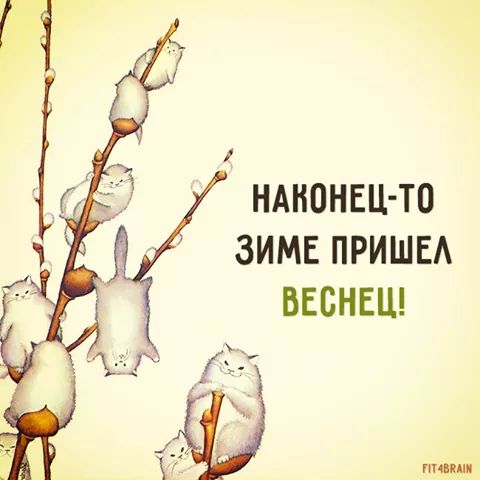 Веселые и забавные картинки
