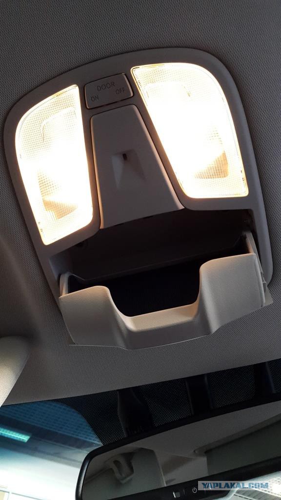 Они живые. Они смотрят на нас!