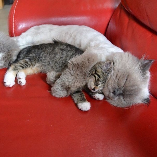 Подборка картинок на среду