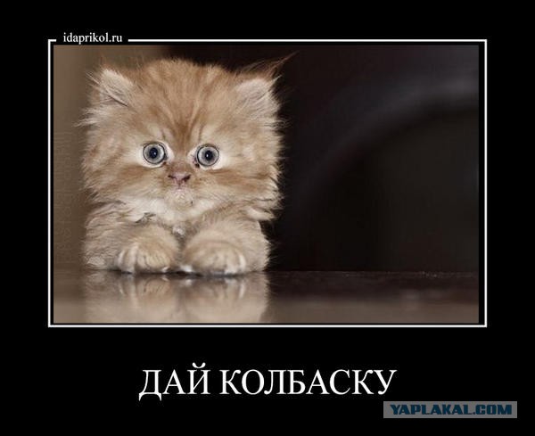 Интересные и веселые картинки