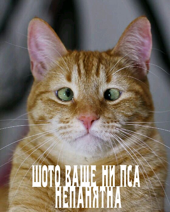 Подборка интересных и веселых картинок