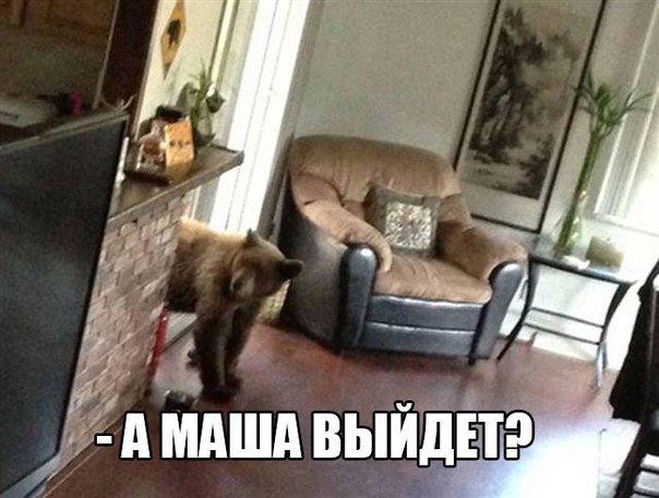 Мохнатые беспредельщики
