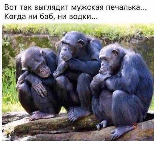 Смешные картинки (30 фото)