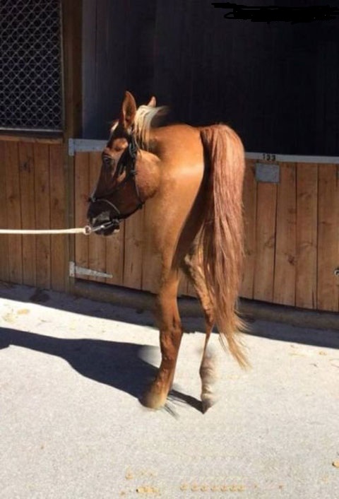 Мастера панорамного фото