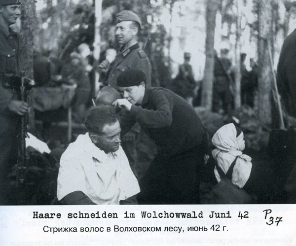 Волховский фронт. 1942. Взгляд с той стороны.